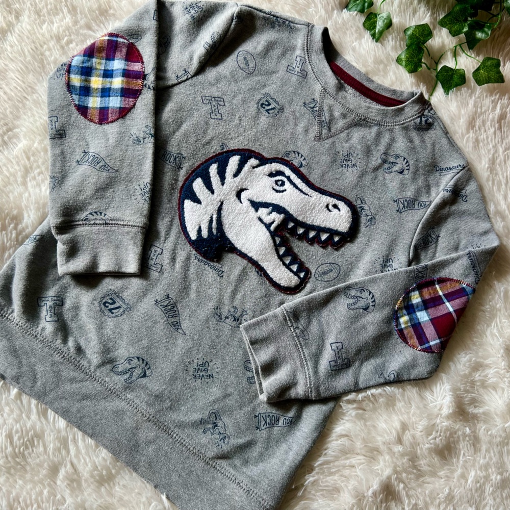 Gray Dinosaur Kids Sweatshirt With Tartan Accents And Inspirational Graphics